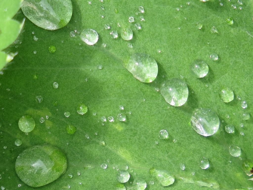 Clarity through Coaching